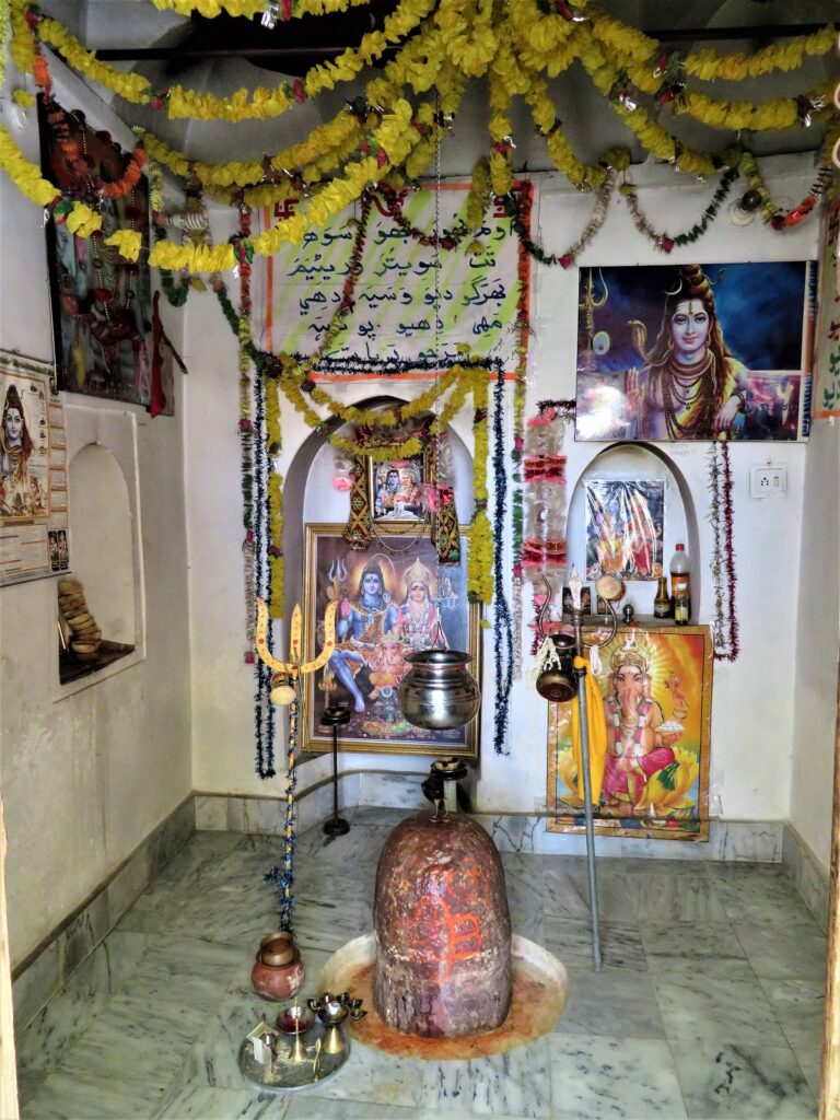 Shivling and the Gods and Goddesses of Hinduism at Katas Raj Temples