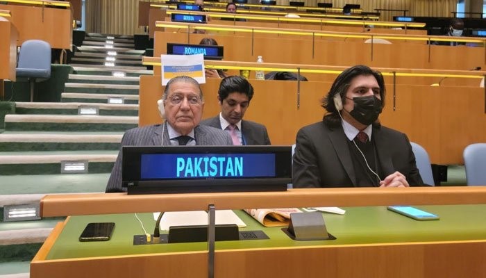 Munir Akram, Representing Pakistan in the UN Assembly