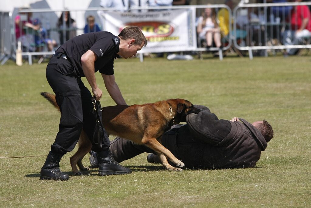 Ohio Police
