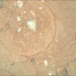 Green Spots on Mars: A Clue to Life?