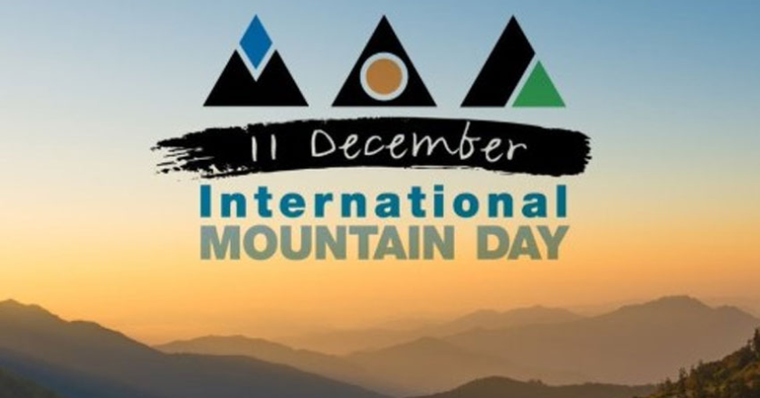 International Mountain Day 2024: A Call to Protect Nature’s Giants